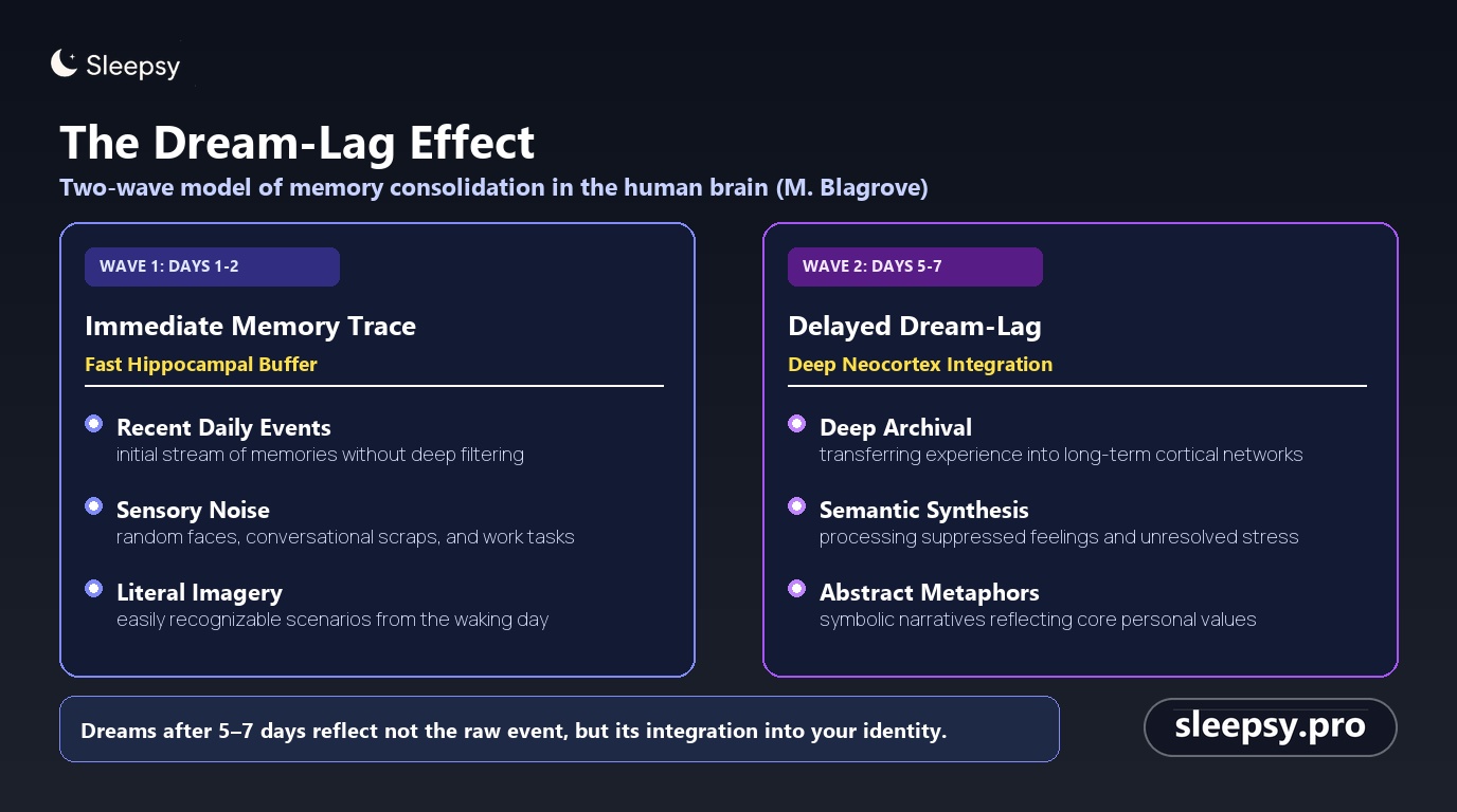 The dream-lag effect: two-wave memory consolidation model by Mark Blagrove