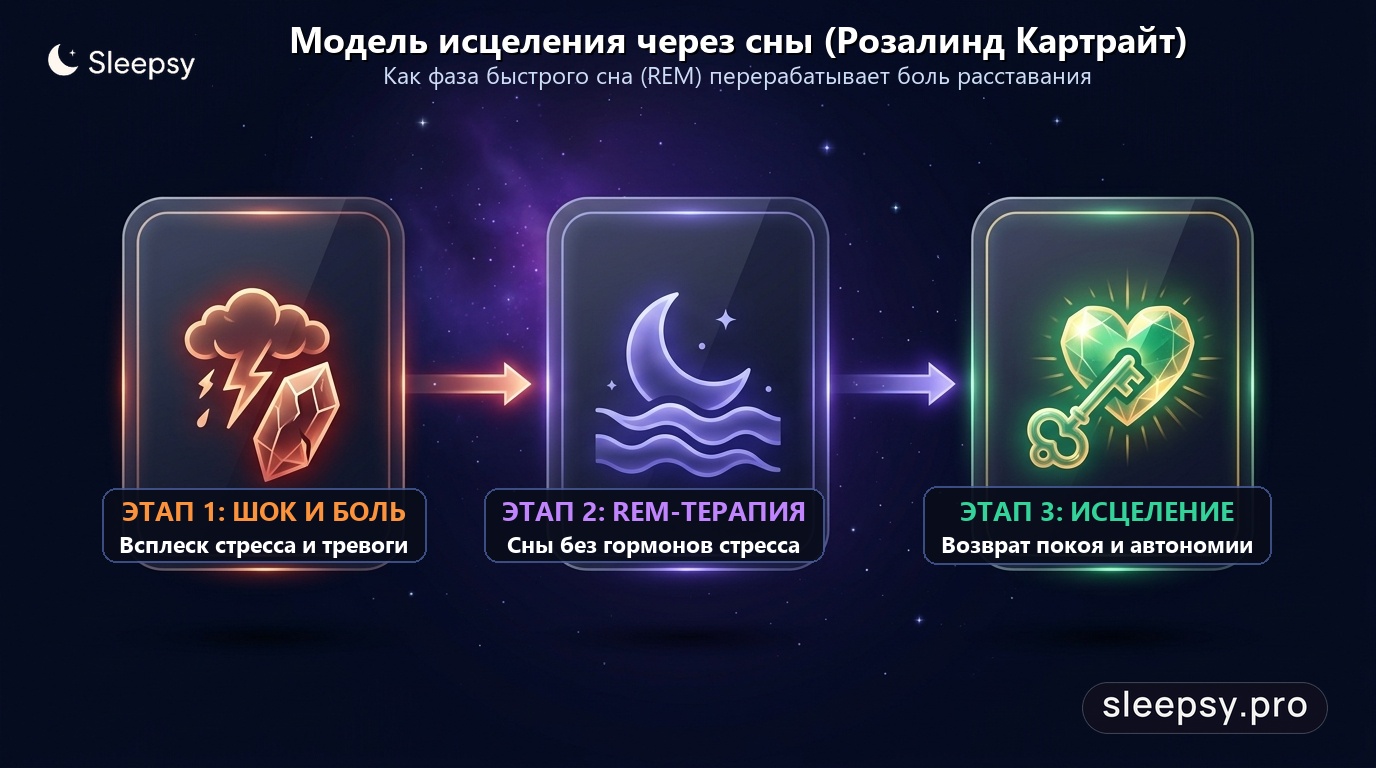 Исследования Розалинд Картрайт: эмоциональная переработка снов и скорость восстановления после расставания